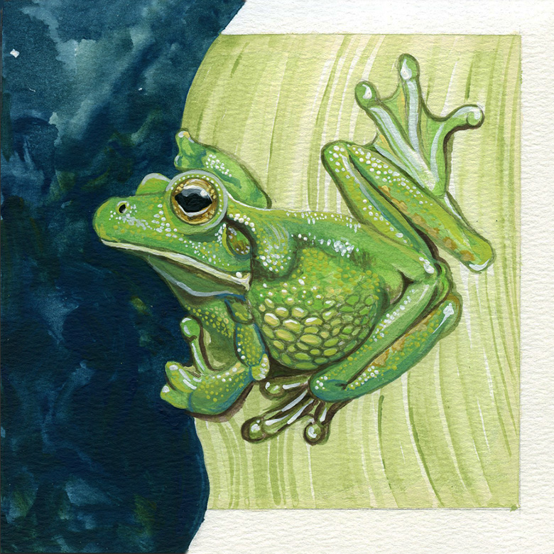 2_AussieFrog_Painting