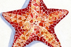 1_Red_Starfish